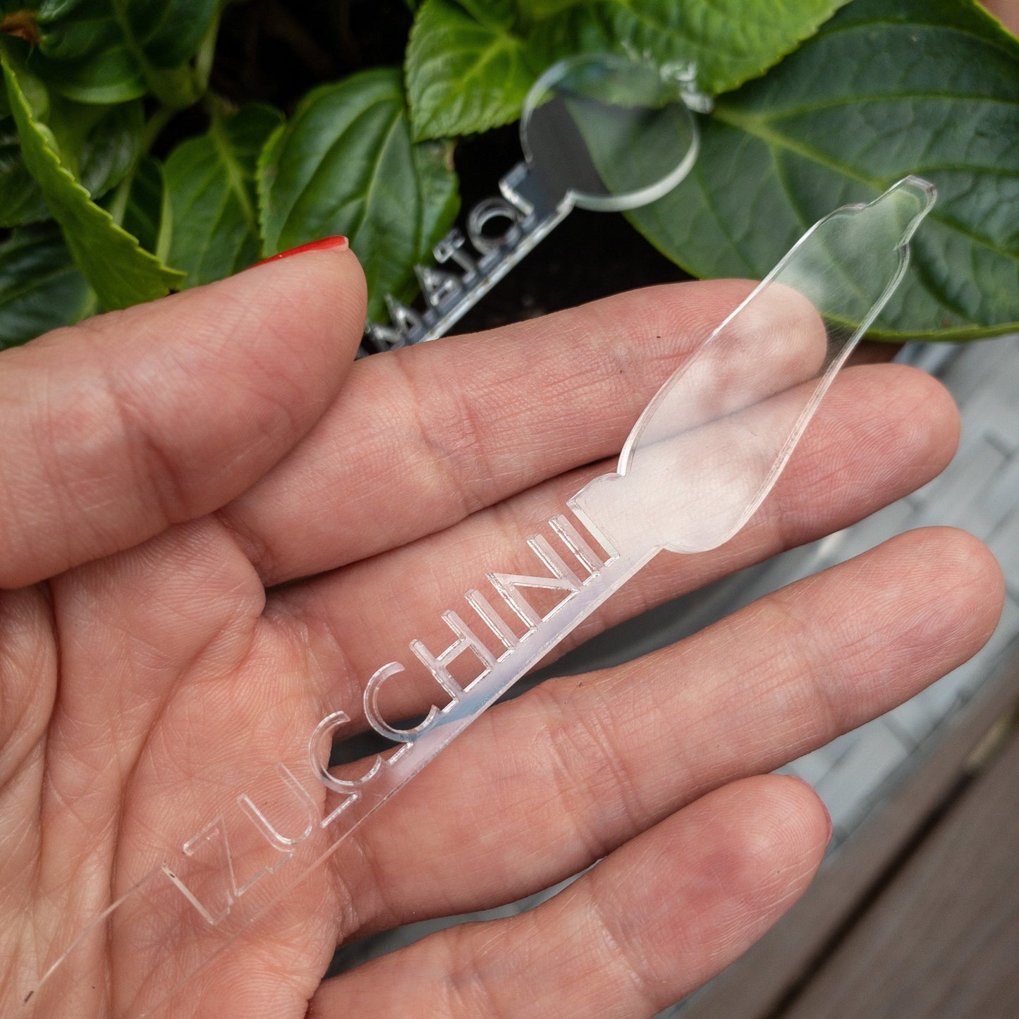 Vegetable markers for garden or indoor