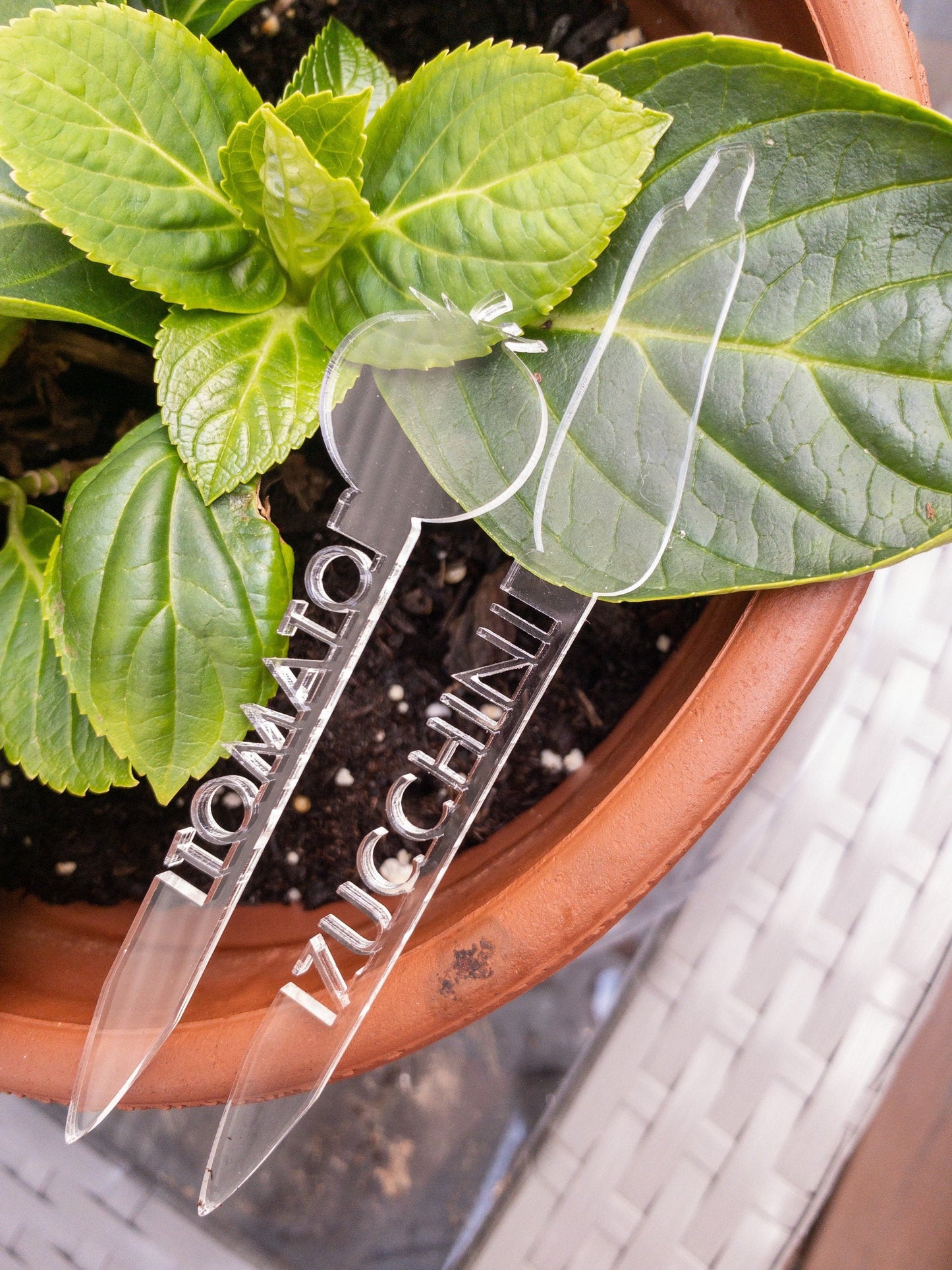 Vegetable markers, garden plant markers, gardening, acrylic plant markers